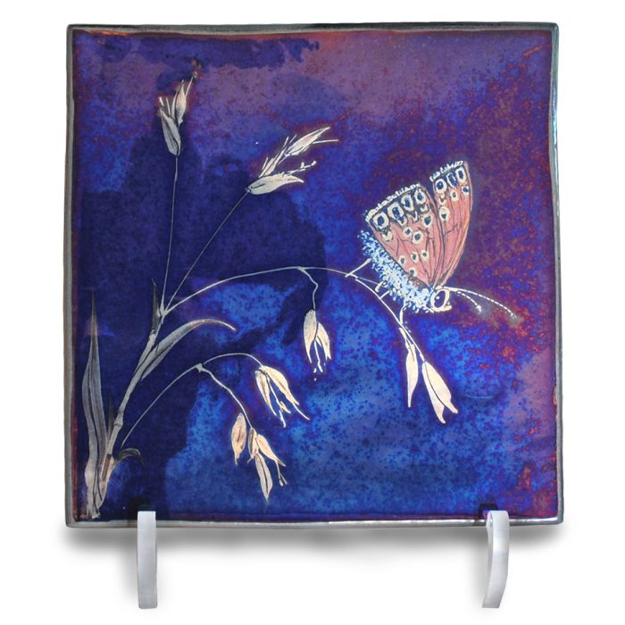 Butterfly and grass.
