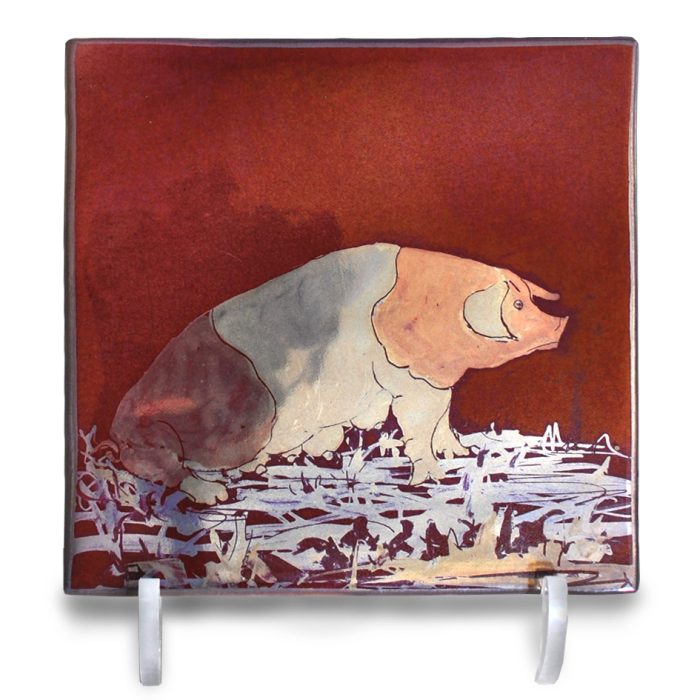 Hampshire pig.