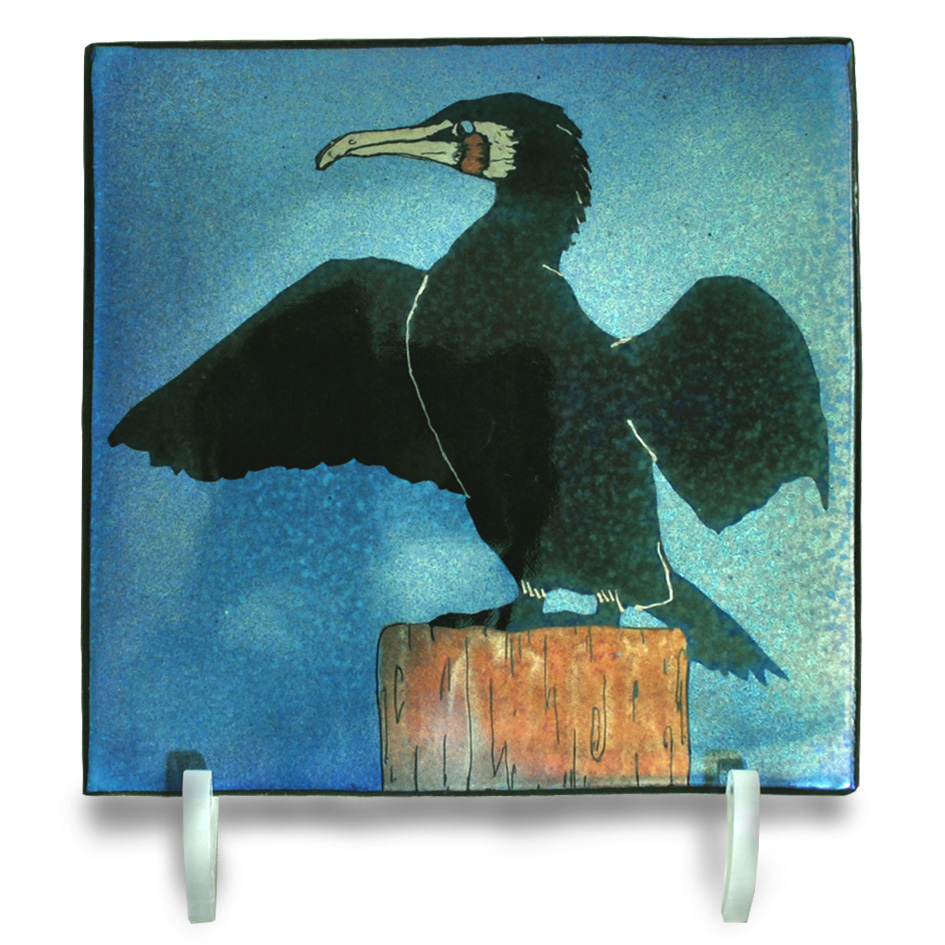 Cormorant.