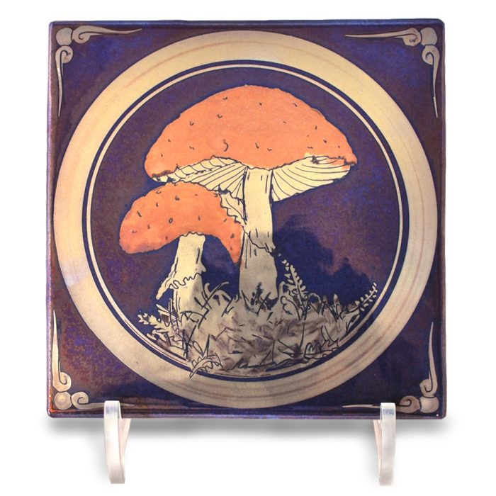 Fungi tile.