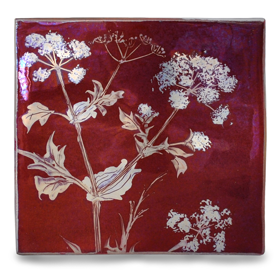Cow parsley tile.