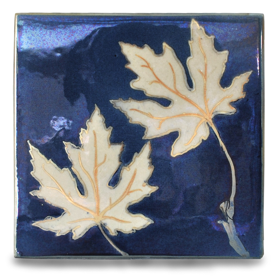 Sycamore leaves.
