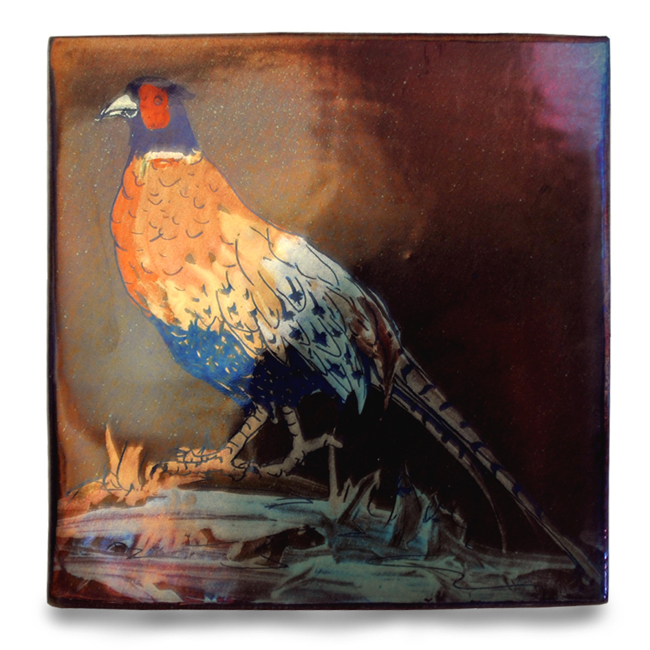 Strolling pheasant.
